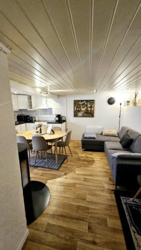 Central and Large cosey apartment
